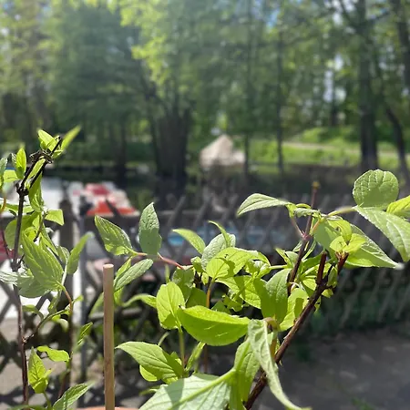 Lüks kamp alanı Glamping Zelt *