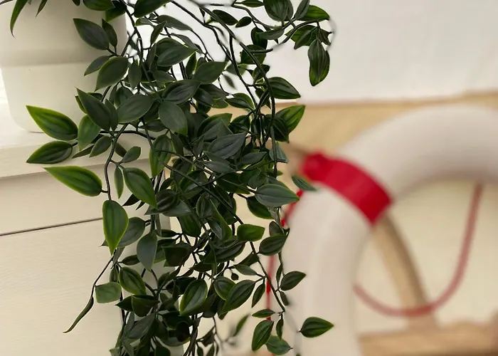 Glamping Zelt * تيمبلين