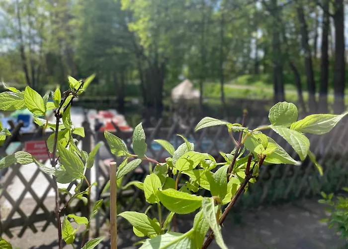 خيمة فخمة Glamping Zelt *